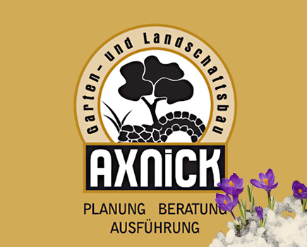 Axnick Logo